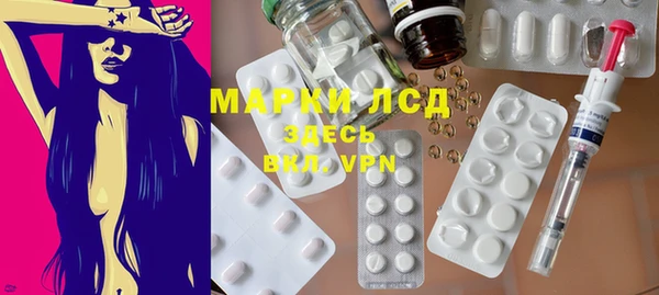 индика Балахна