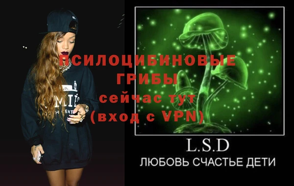 индика Балахна