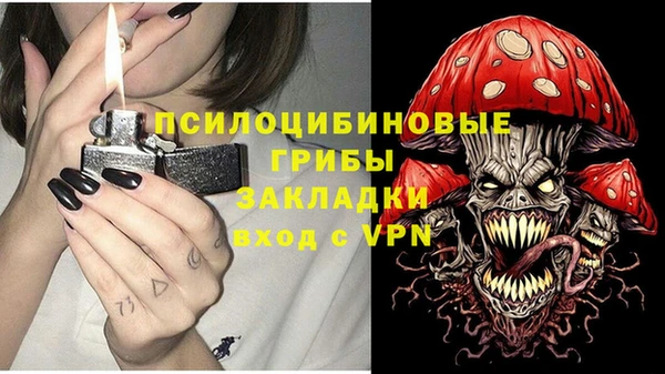 индика Балахна