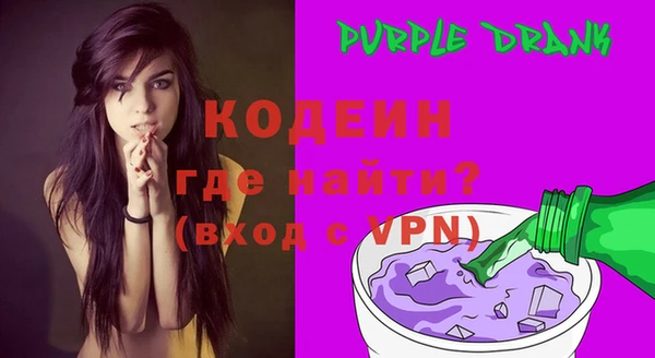 индика Балахна