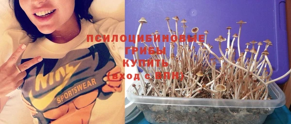 прущие крисы Белоозёрский