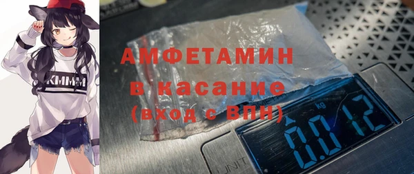 индика Балахна