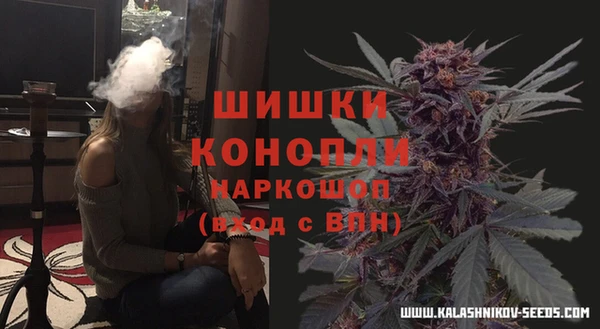 эйфоретик Гусь-Хрустальный