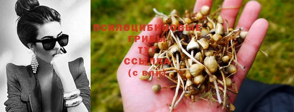 скорость Балабаново