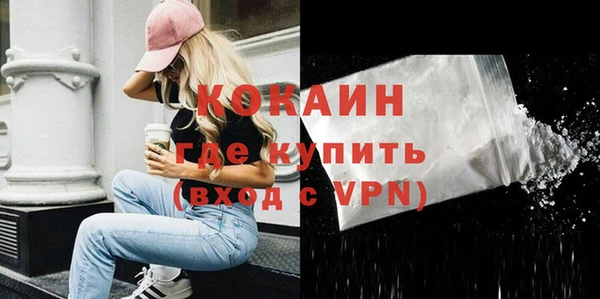индика Балахна