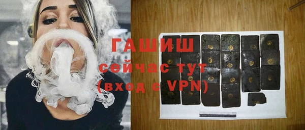 индика Балахна